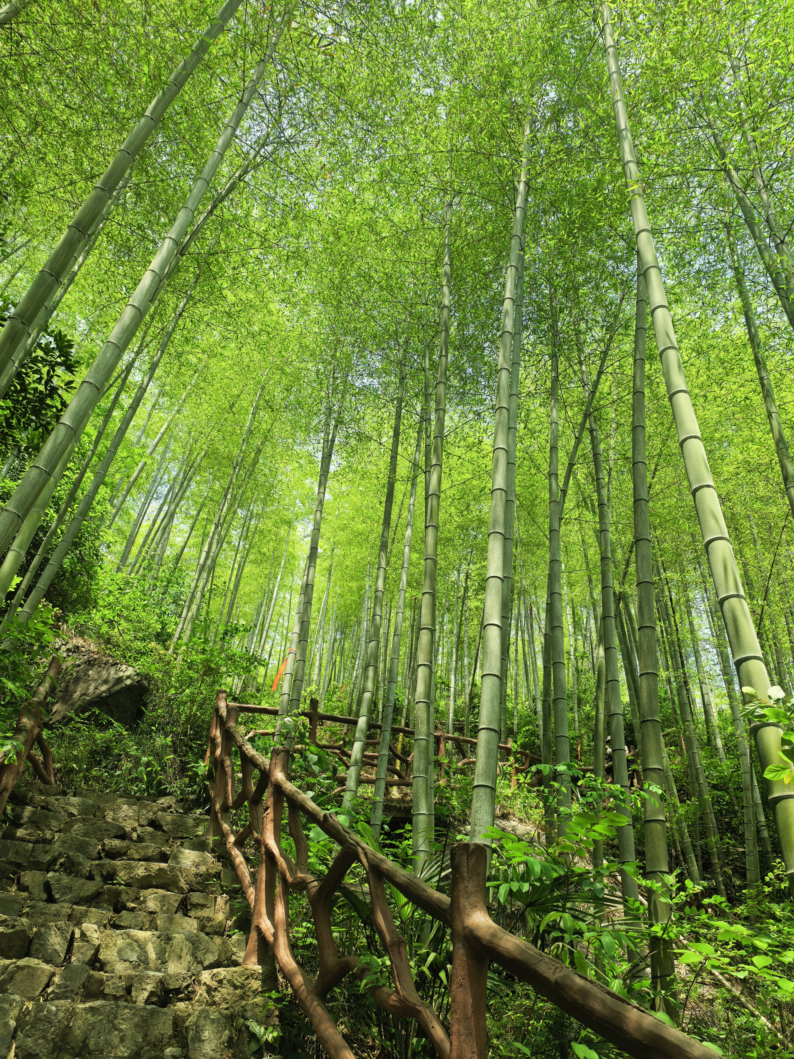 33_副本.jpg